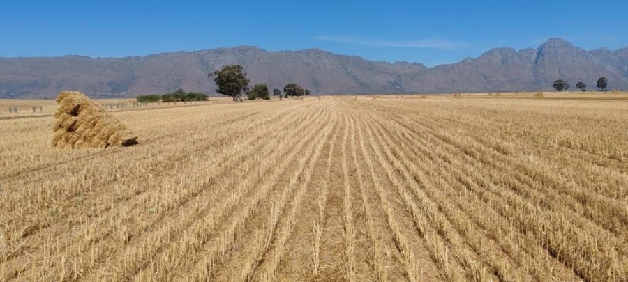 0 Bedroom Property for Sale in Hermon Western Cape